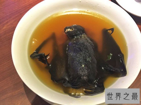 全球十大恶心食品,看到这些食物吐都来不及