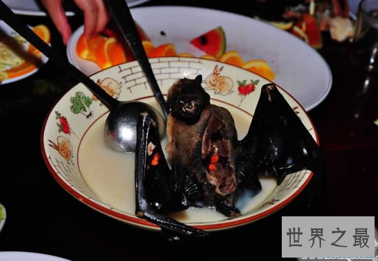 全球十大恶心食品,看到这些食物吐都来不及