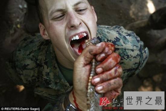 全球十大最疯狂的军事训练,美国海军生喝蛇血