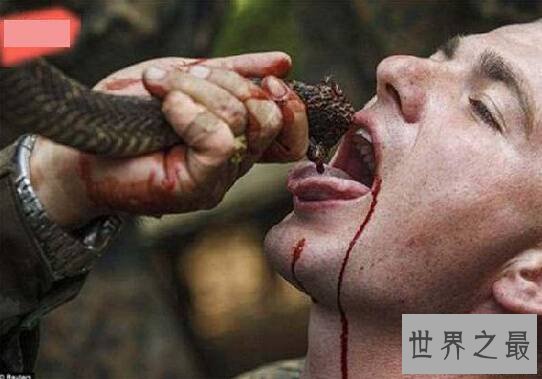 全球十大最疯狂的军事训练,美国海军生喝蛇血