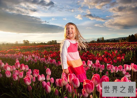 世界十大最美的花海,普罗旺斯薰衣草花海最美