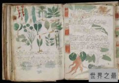 世界十大无人看得懂的天书，看看你是否能破解