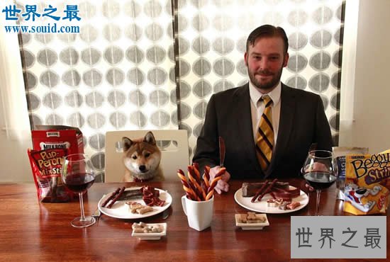 世界十大最奇葩的工作,吃狗食收集蝙蝠粪也能发财