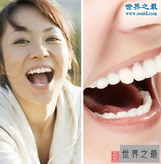 世界十大最奇葩的工作,吃狗食收集蝙蝠粪也能发财