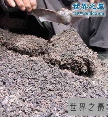 世界十大最奇葩的工作,吃狗食收集蝙蝠粪也能发财