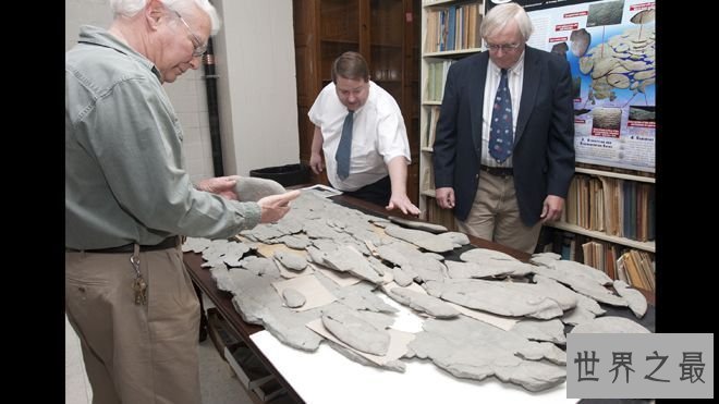 历史上十大考古之谜，失踪的达芬奇画