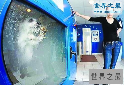 世界十大最奇葩的发明,遇水即溶的比基尼(图)