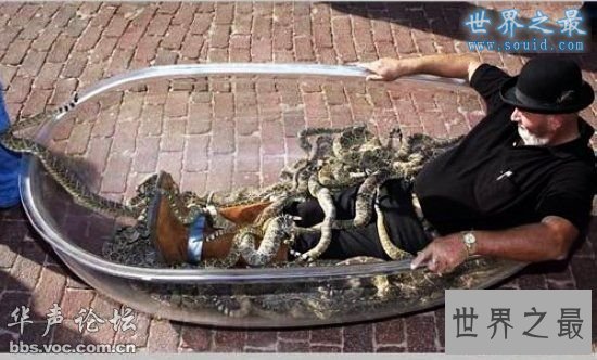 世界十大人兽同居事件，震惊全球(图)