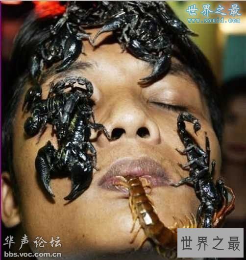 世界十大人兽同居事件，震惊全球(图)