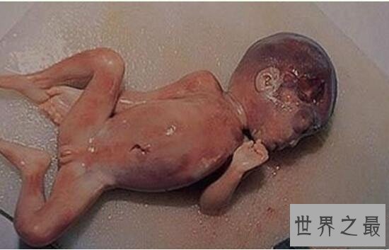 中国十大禁菜,丧尽天良婴儿大补汤/生吃猴脑太恶心