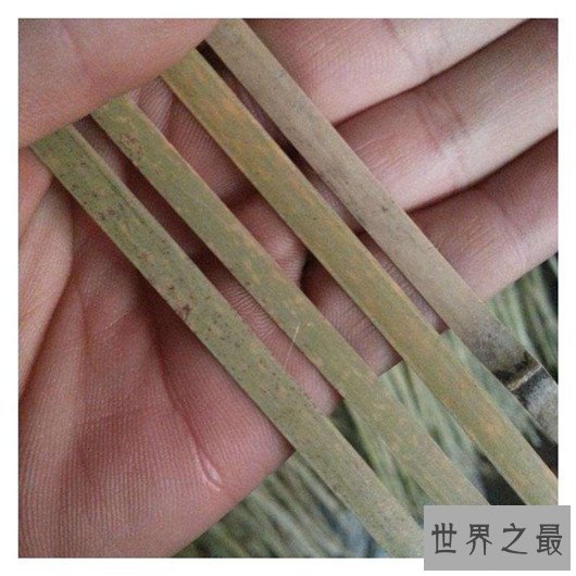 中国十大可怕盅术,驱毒害人之术