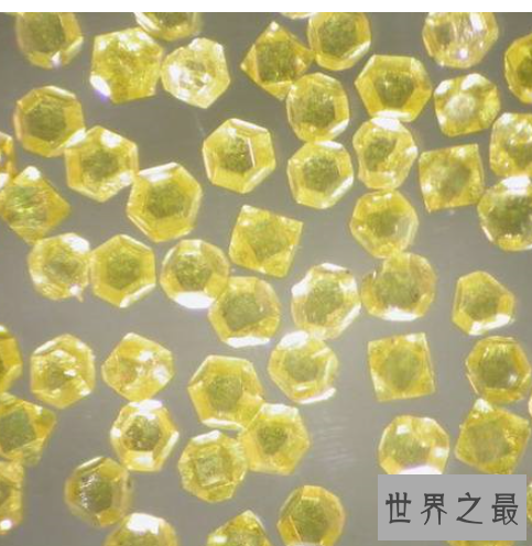 中国最毒的毒药排行,只要碰到这些东西就会死亡!