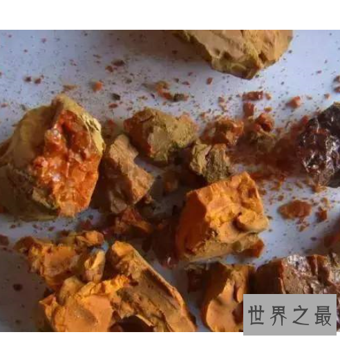 中国最毒的毒药排行,只要碰到这些东西就会死亡!