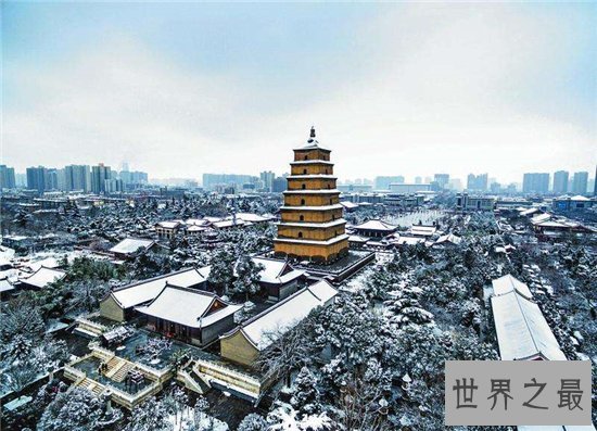 中国帅哥最多的城市排行,许多明星都来自这些城市!