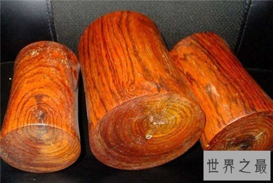 中国十大珍惜树种,珙桐被称为植物界的“活化石”!