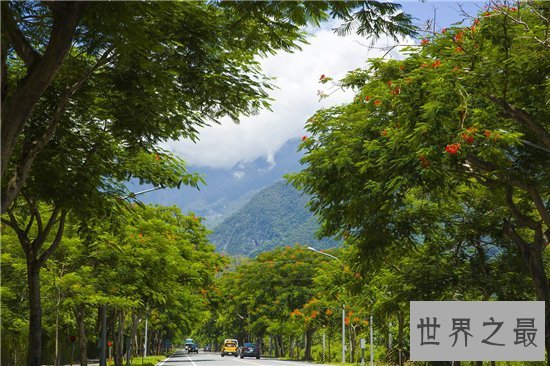 中国十大最美公路，超级惊艳去过才不枉此生！