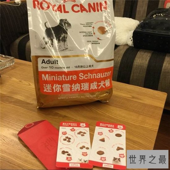 国产狗粮排行榜前十名，优质天然狗粮推荐！