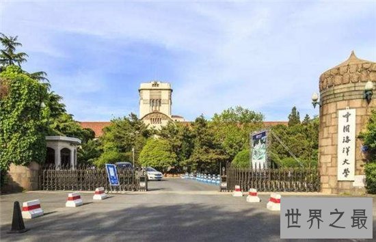 中国十大最美大学,武大樱花摘得桂冠!