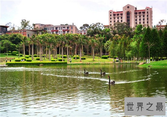 中国十大最美大学,武大樱花摘得桂冠!