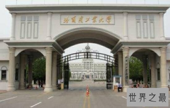 建筑学专业大学排名，清华竟然无缘榜首。