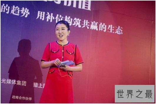 中国十大猎头公司排名，智联卓聘最优秀