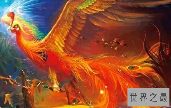 中国上古十大神兽排行榜，颜值超高鸟类神兽。