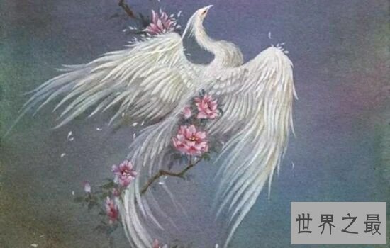 中国上古十大神兽排行榜，颜值超高鸟类神兽。