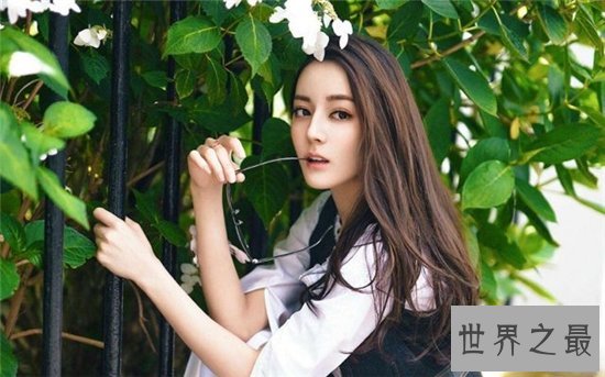 中国现代十大美女排行榜，神仙姐姐刘亦菲摘得桂冠！