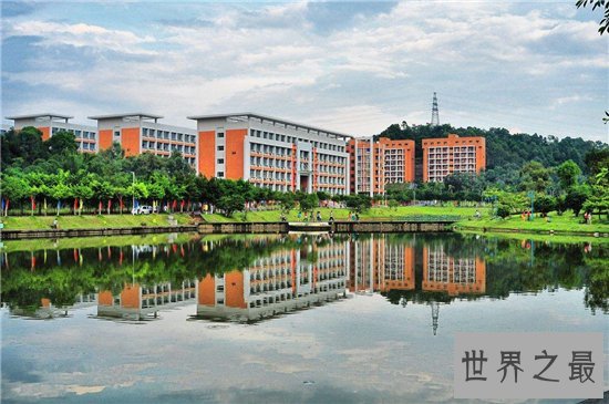 广东大学排名，普通一本实力堪比985 211！