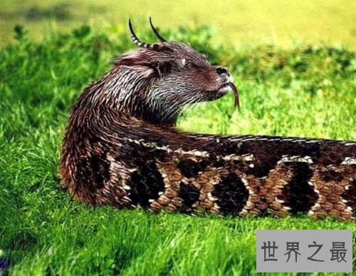 中国上古十大坐骑，据说只有身份高贵的人才能拥有。