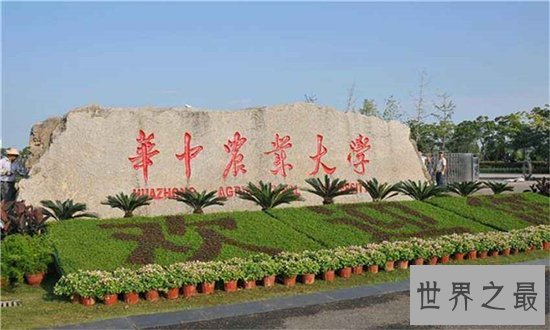 湖北大学排名，武汉大学披荆斩棘获得头筹！