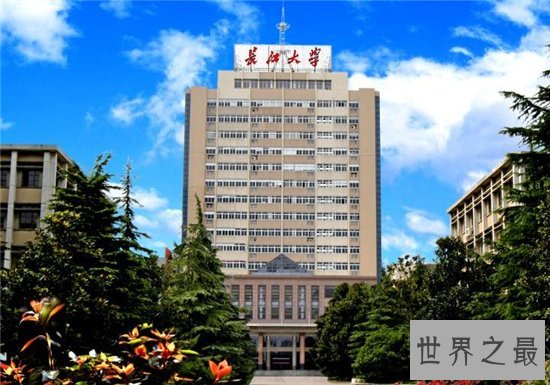 湖北大学排名，武汉大学披荆斩棘获得头筹！