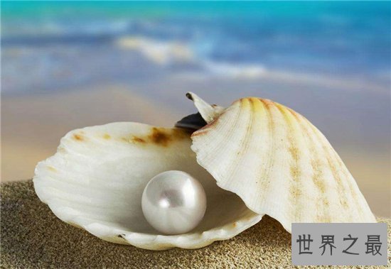 三亚有什么特产，三亚旅游必带的好吃不贵十大特产！