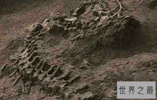 盘点中国十大灵异事件，真实事件胆小者慎入。