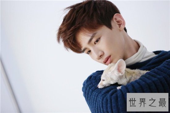 中国十大帅哥排行榜，看来看看你男神有没有上榜！