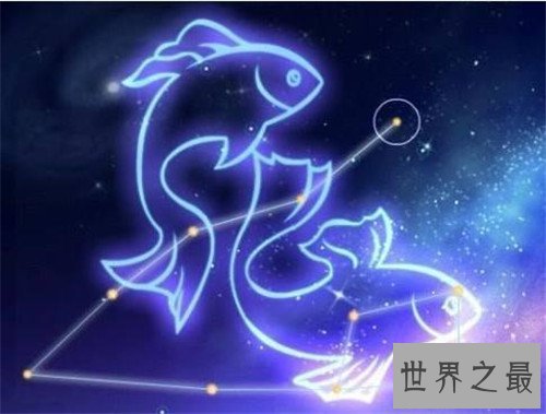 十二星座结婚后谁最宠老婆排行榜,哪个星座的老婆最幸福?