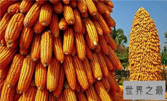 十大抗衰老食物排行榜，让你越吃越年轻的秘密