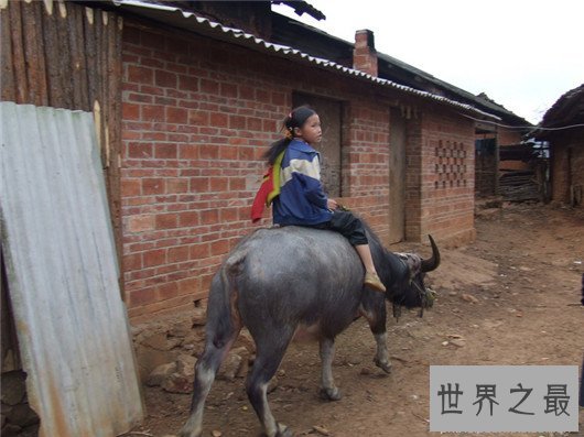 中国十大贫困县，贫困程度难以想象