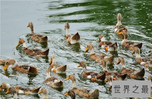 中国十大贫困县，贫困程度难以想象