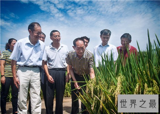 中国最伟大的科学家排名,都是最值得我们尊敬的人