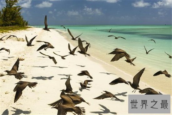 珠海旅游必去的十大景点，珠海旅游让你的冬天不寂寞！