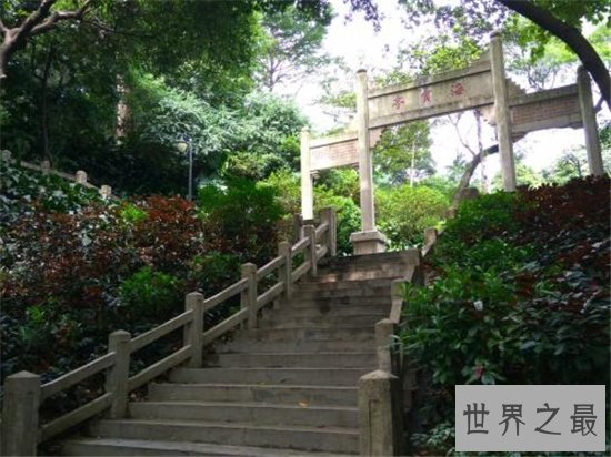 广州旅游必去十大景点,去这些地方绝对不枉此行!