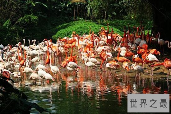 广州旅游必去十大景点,去这些地方绝对不枉此行!