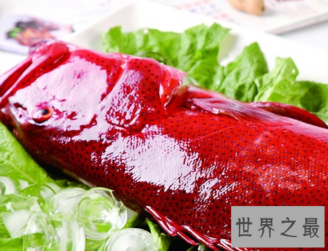 中国南方十大名菜，见过老虎带翅膀的菜吗？