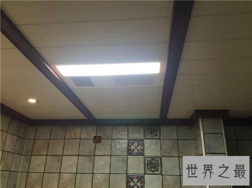 集成吊顶十大品牌排行榜，集成吊顶哪个牌子好？