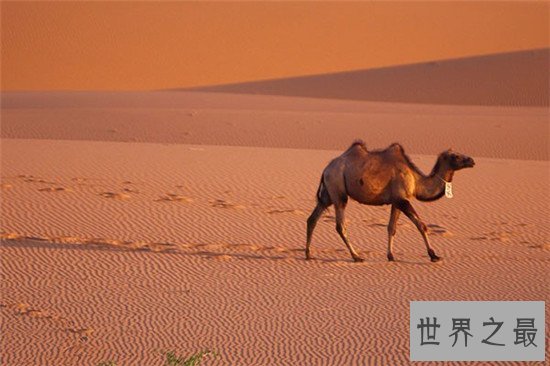 中国十大最美沙漠奇景，中国边境的沙漠亦是如此壮观