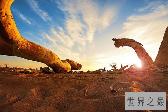 中国十大最美沙漠奇景，中国边境的沙漠亦是如此壮观