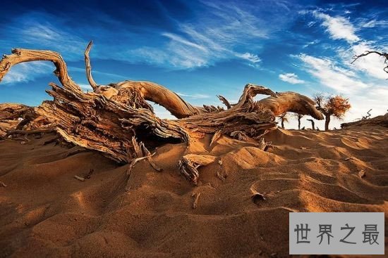 中国十大最美沙漠奇景，中国边境的沙漠亦是如此壮观