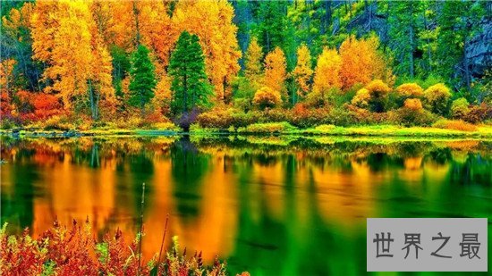 中国十大天然氧吧，让疲惫的灵魂来这里休息一下