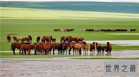中国十大天然氧吧，让疲惫的灵魂来这里休息一下